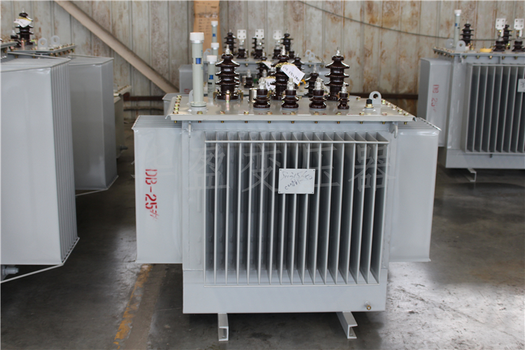 呼伦贝尔S20-800kVA/10kV/0.4kV变压器